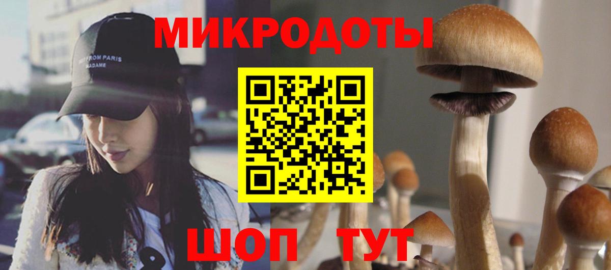 Псилоцибиновые грибы GOLDEN TEACHER  Вход с VPN  Галлюциногенные грибы MAGIC MUSHROOMS  Черногорск 